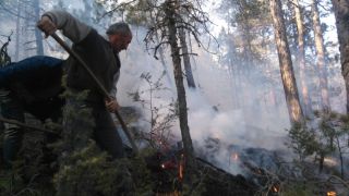 Bolu’da çıkan yangında 4 hektarlık orman zarar gördü
