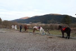 Abant’ta ruam şüphesi olan atların sahiplerine de test yapıldı