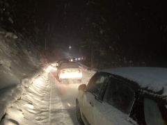Kar yağışı Abant Tabiat Parkı yolunda trafiği etkiledi