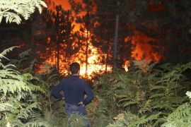 Bolu’da, orman yangını 5 saatte kontrol altına alındı