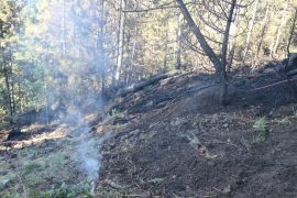 Bolu’da orman yangınında soğutma çalışması sürüyor