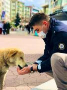 polisler sokak hayvanlarını elleriyle besledi